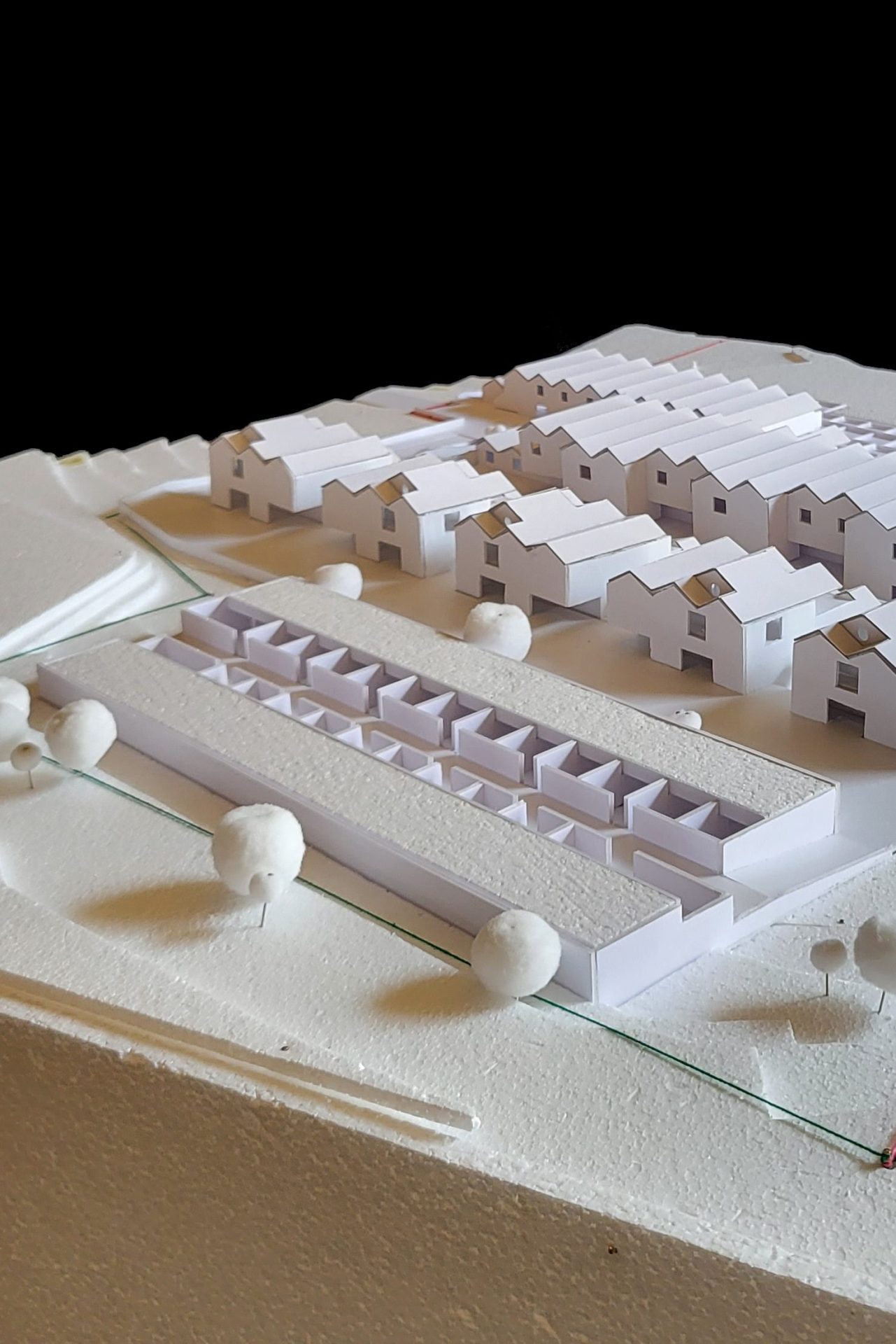 [CC] STAFF ANEX